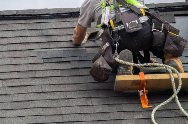 Best Solar Panel Roofing Installation  in Cozad, NE